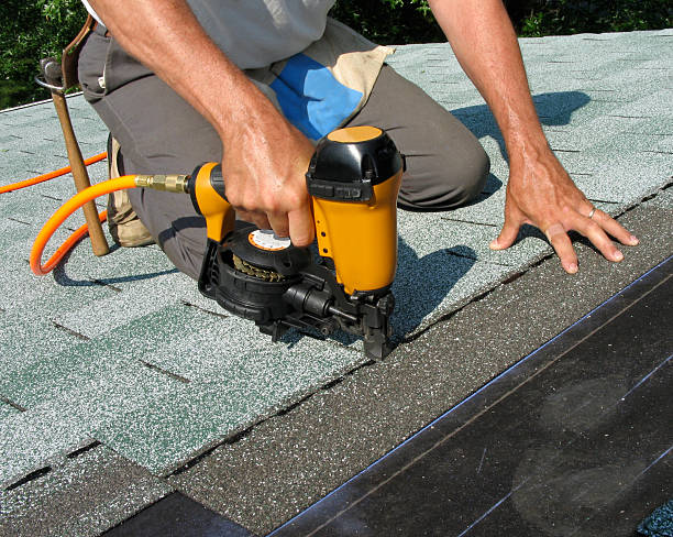 Best Flat Roof Repair Services  in USA